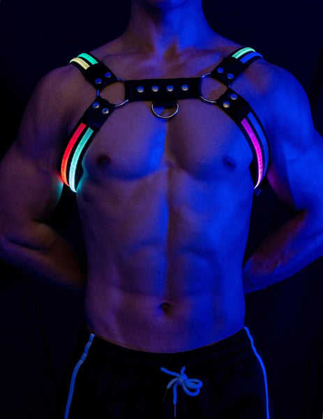 Lumi Harness