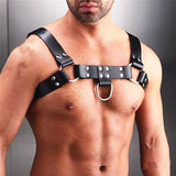 Classic Harness